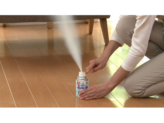 アース製薬 らくハピ お部屋の防カビ剤 無香料(60mL) 1個(ご注文単位1個)【直送品】