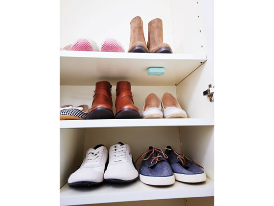 げた箱のカビ・ニオイにバイオのチカラプラス 344399 1個(ご注文単位1個)【直送品】