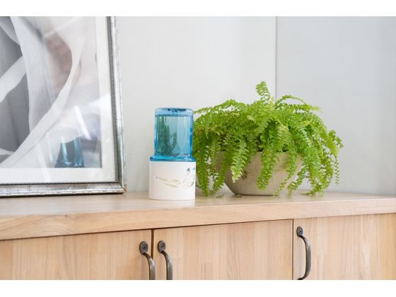 アース製薬 お部屋のスッキーリ! プレシャスソープ 400ml 1個(ご注文単位1個)【直送品】