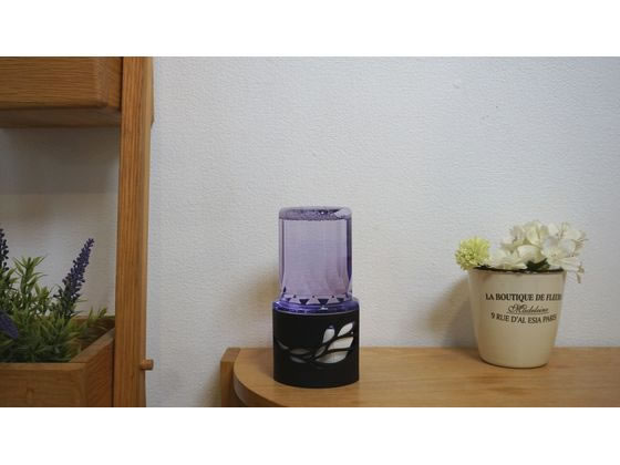 アース製薬 お部屋のスッキーリ!プレミアムリッチパルファム リュクスパープル 1個(ご注文単位1個)【直送品】