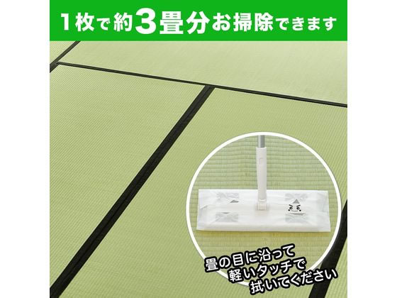 レック バルサン激落ちシート 畳用ダニよけプラス15枚入 S00800 1個（ご注文単位1個)【直送品】