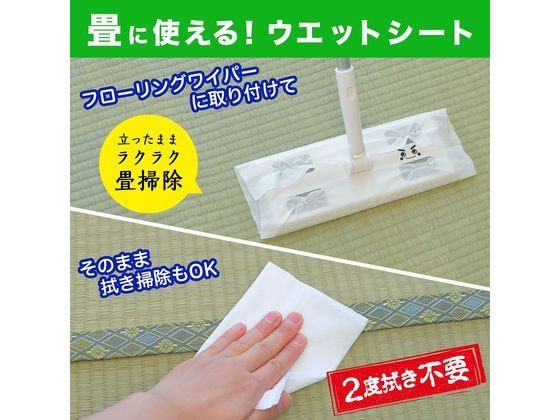 レック バルサン激落ちシート 畳用ダニよけプラス15枚入 S00800 1個（ご注文単位1個)【直送品】