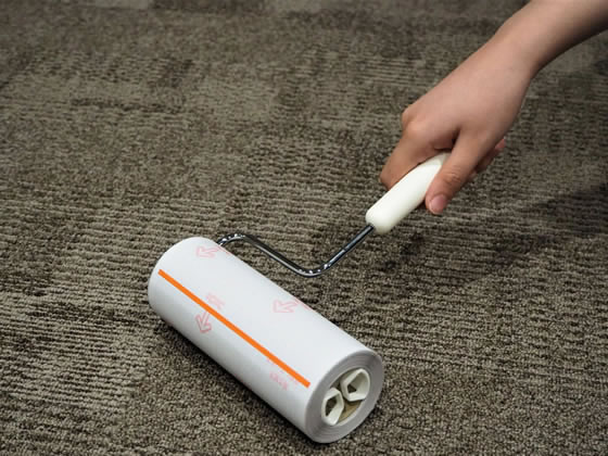 ニトムズ スペアテープコロコロeco 強接着13.5m2巻 CC0003 1パック(ご注文単位1パック)【直送品】