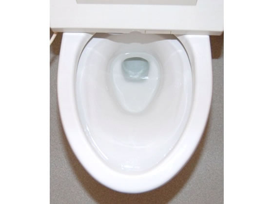 日本ミラコン ミラコン 尿石落し 280ML 1個(ご注文単位1個)【直送品】