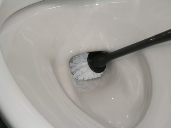 アイセン カスケット トイレブラシ ケース付 ブラック TN201 1個（ご注文単位1個)【直送品】