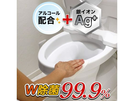 レック 激落ち 流せる除菌トイレクリーナー 24枚入2個パック 1個(ご注文単位1個)【直送品】