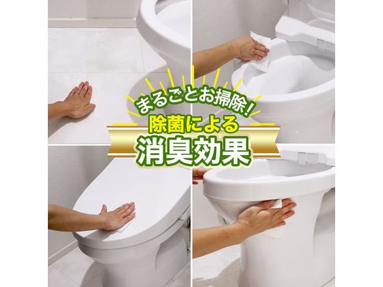 レック 激落ち 流せる除菌トイレクリーナー 24枚入2個パック 1個(ご注文単位1個)【直送品】