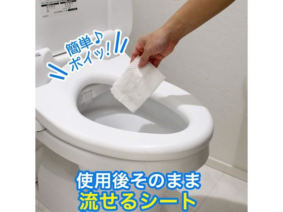 レック 激落ち 流せる除菌トイレクリーナー 24枚入2個パック 1個(ご注文単位1個)【直送品】
