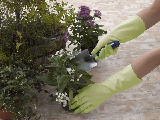 エステー ファミリー ビニール 中厚手 指先強化 M グリーン 1袋（ご注文単位1袋)【直送品】