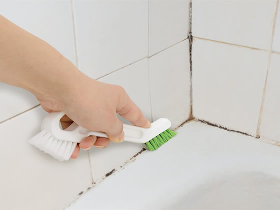 レック 激落ちくん 黒カビくん 目地研磨ブラシ S00116 1個(ご注文単位1個)【直送品】