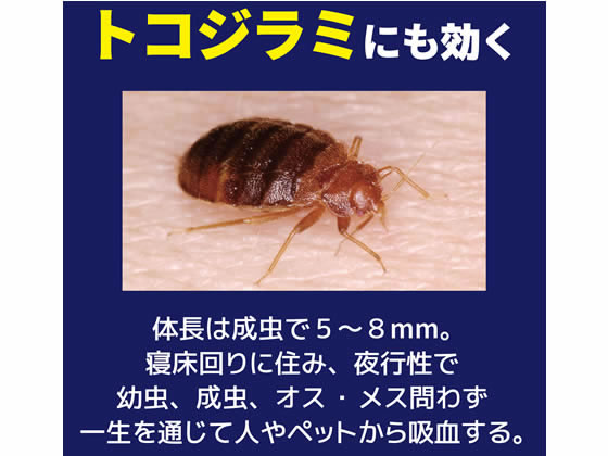 金鳥 水性プロ用ゴキブリ駆除剤 420ml 269899 1本(ご注文単位1本)【直送品】