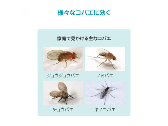 アース製薬 おすだけコバエアーススプレー 60回分 1個(ご注文単位1個)【直送品】