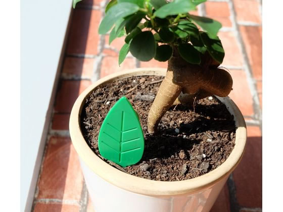 アース製薬 BotaNice コバエ退治粘着剤 12個入 1パック(ご注文単位1パック)【直送品】