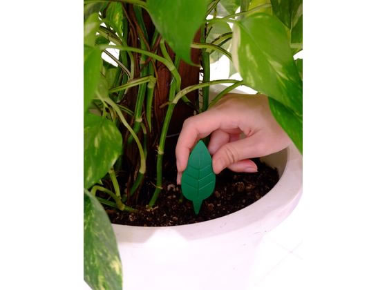 アース製薬 BotaNice コバエ退治粘着剤 12個入 1パック(ご注文単位1パック)【直送品】