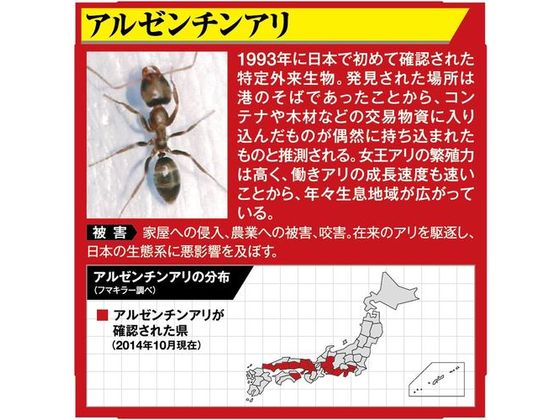 フマキラー アリ用殺虫剤 アルゼンチンアリ ウルトラ巣ごと退治20個入 1パック(ご注文単位1パック)【直送品】