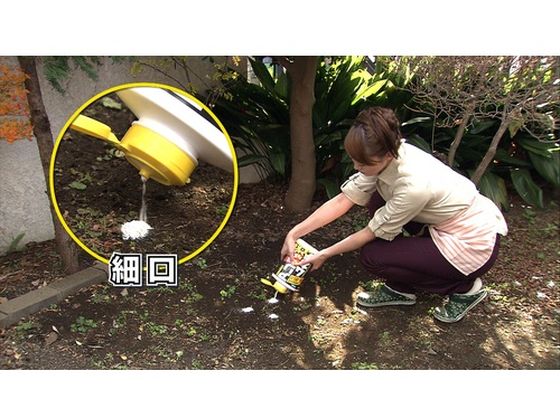 フマキラー アリ用殺虫剤 アリムカデ粉剤600g 432671 1個(ご注文単位1個)【直送品】