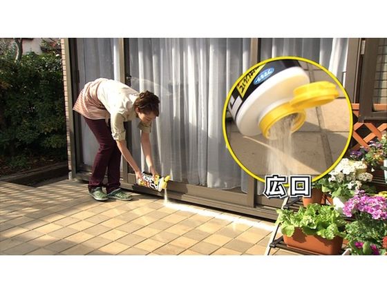 フマキラー アリ用殺虫剤 アリムカデ粉剤600g 432671 1個(ご注文単位1個)【直送品】