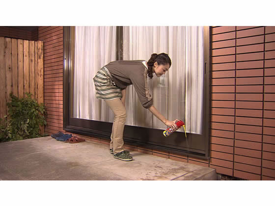 フマキラー アリフマキラー 450ml 1個(ご注文単位1個)【直送品】