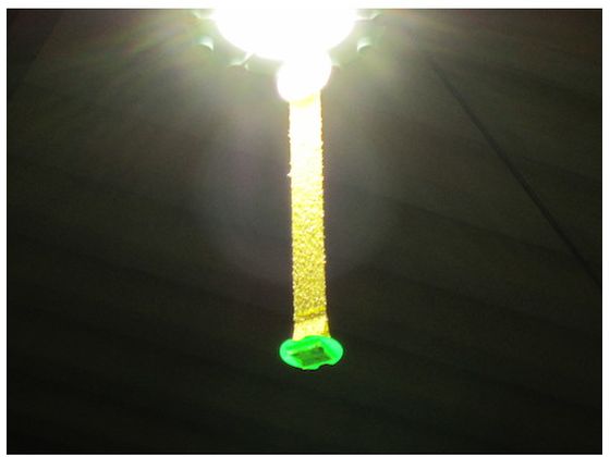 カモ井 吊るすだけ 粘着式ハエ取り TSURUSUDAKE 1パック(ご注文単位1パック)【直送品】