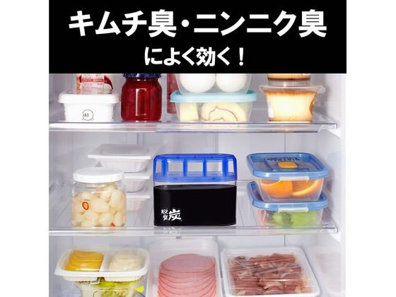 エステー 脱臭炭 冷蔵庫用 1個（ご注文単位1個)【直送品】