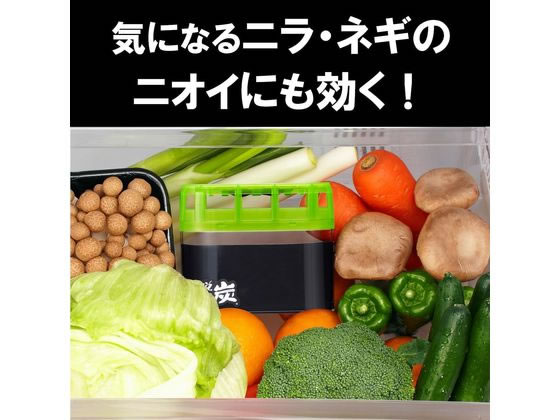 エステー 脱臭炭 野菜室用 1個（ご注文単位1個)【直送品】