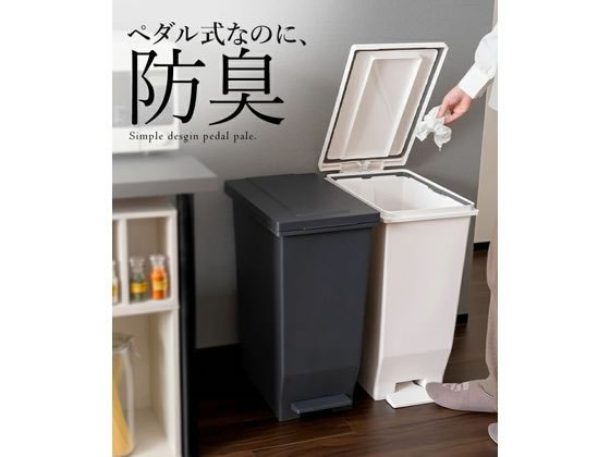 アスベル エバンMP 密閉ペダルペール 45L ブラック A6302 1個(ご注文単位1個)【直送品】