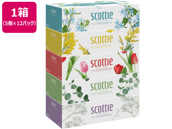 クレシア スコッティ ティシュー フラワーボックス 250組 5個×12パック 41331 1箱（ご注文単位1箱)【直送品】