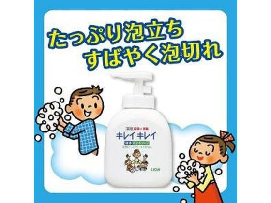 ライオンハイジーン キレイキレイ薬用ハンドソープ 2L 1個(ご注文単位1個)【直送品】