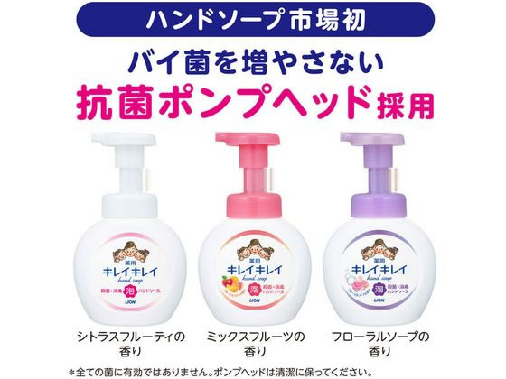 ライオン キレイキレイ 薬用泡ハンドソープ 本体 250ml 1個(ご注文単位1個)【直送品】