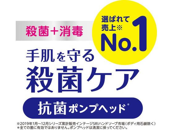 ライオン キレイキレイ 薬用泡ハンドソープ 本体 250ml 1個(ご注文単位1個)【直送品】