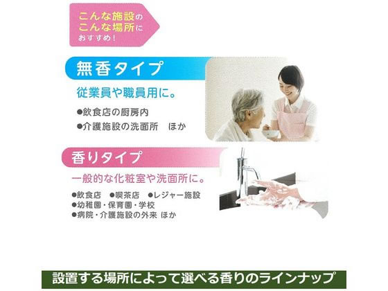 ライオンハイジーン キレイキレイ薬用泡ハンドソープ 業務用 2L 1個(ご注文単位1個)【直送品】