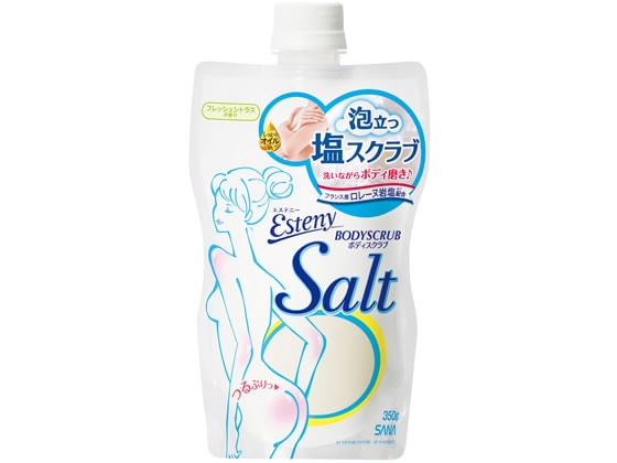 常盤薬品工業 サナ エステニー ソルティスクラブ 1個（ご注文単位1個)【直送品】