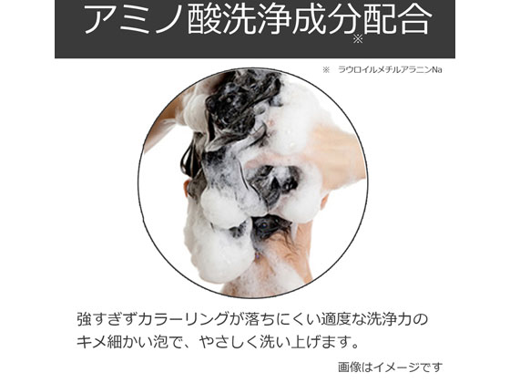 アンナドンナ エブリ カラーシャンプー[ブルー] 1個（ご注文単位1個)【直送品】