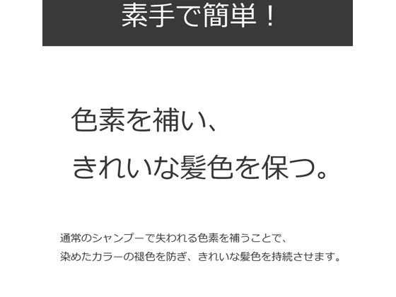 アンナドンナ エブリ カラーシャンプー[グレー] 1個（ご注文単位1個)【直送品】