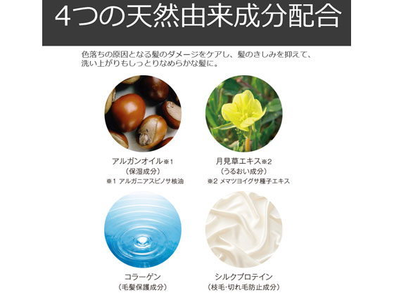 アンナドンナ エブリ カラーシャンプー[グレー] 1個（ご注文単位1個)【直送品】