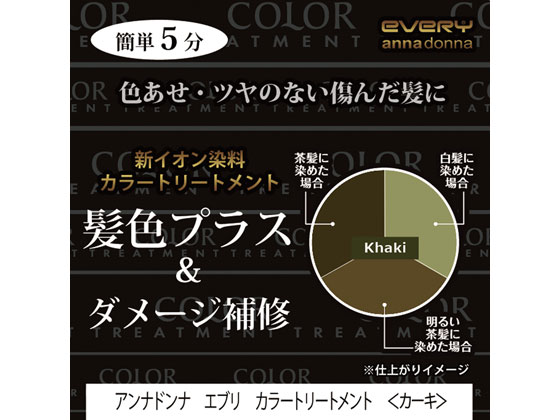 アンナドンナ エブリ カラートリートメント[カーキ] 1個（ご注文単位1個)【直送品】