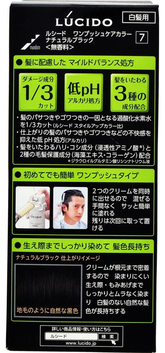 マンダム ルシード ワンプッシュケアカラー ナチュラルブラック 1組 1本(ご注文単位1本)【直送品】