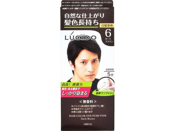 マンダム ルシード ワンプッシュケアカラー ダークブラウン 1個(ご注文単位1個)【直送品】