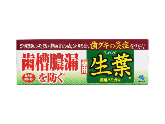 小林製薬 生葉a 100g 1本（ご注文単位1本)【直送品】