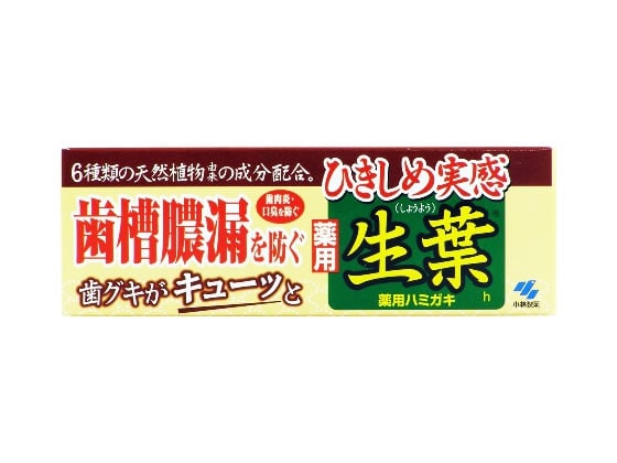 小林製薬 ひきしめ生葉 100g 1本（ご注文単位1本)【直送品】