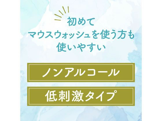 アース製薬 モンダミン ヴァージンターコイズ 1080mL 1個(ご注文単位1個)【直送品】