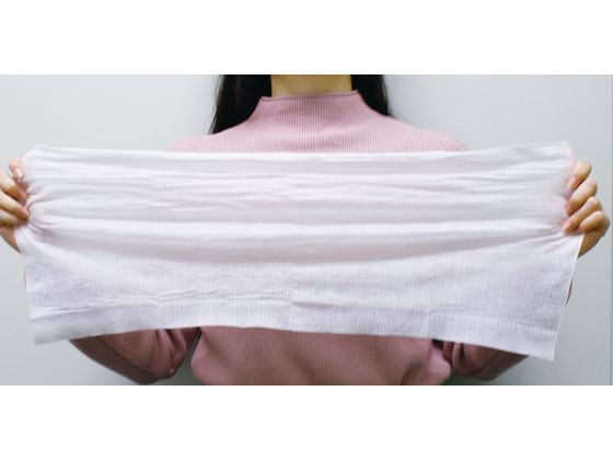 アートナップ 個包装ウェットタオル 標準 LL 50本 82180044 1袋(ご注文単位1袋)【直送品】