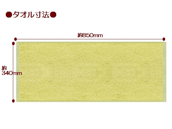 ボーダー入りフェイスタオル ライム 10枚セット 1パック(ご注文単位1パック)【直送品】