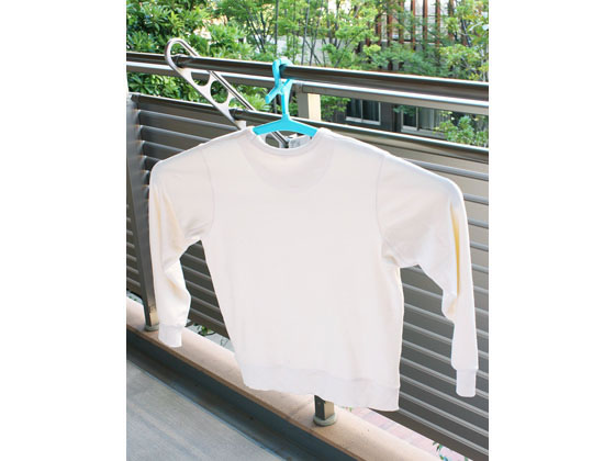 レック ダブル 大判バスタオル トレーナーハンガー (2本組) W-425 1セット(ご注文単位1セット)【直送品】