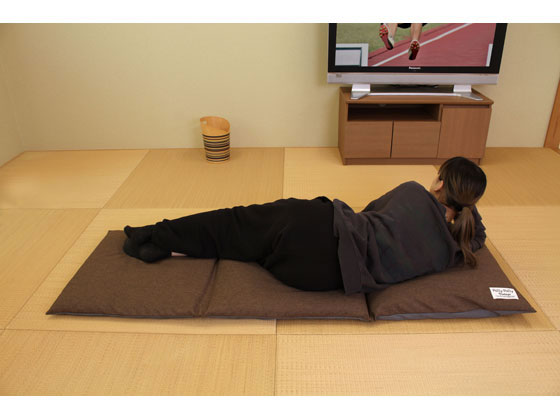 座布団がごろ寝クッションになる ざぶとん 収納袋 ブラウン 1個(ご注文単位1個)【直送品】