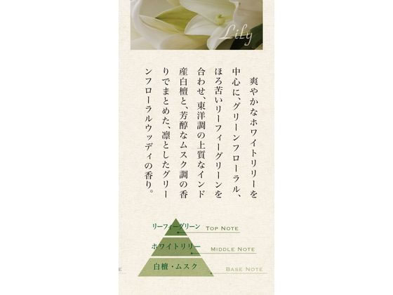 日本香堂 お香 特製花の花 3種入 CL12巻入 30004 1箱(ご注文単位1箱)【直送品】