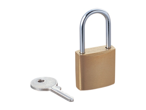 エレコム 南京錠 25mm ESL-NK 1個(ご注文単位1個)【直送品】