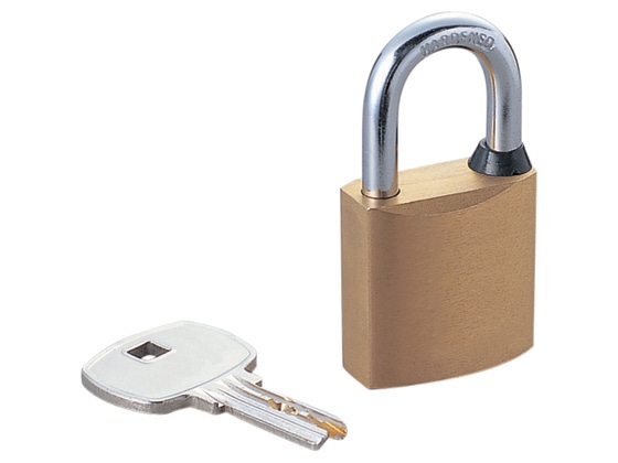 エレコム 南京錠 30mm 強化タイプ ESL-NKD 1個(ご注文単位1個)【直送品】