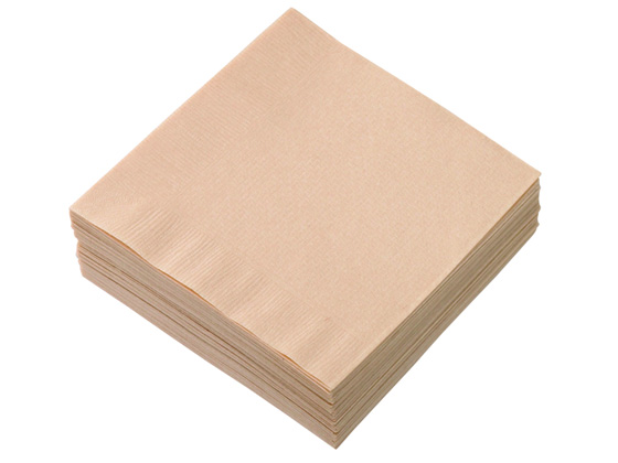 溝端紙工印刷 ブラウンナプキン 4つ折 100枚 MP4A 1パック(ご注文単位1パック)【直送品】