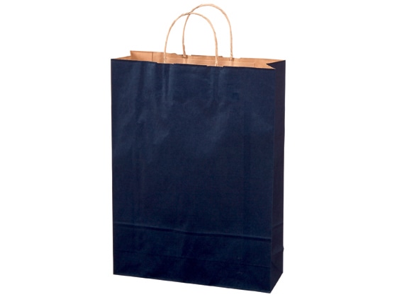 スーパーバッグ カラー紙手提げ袋 紺 L 50枚 92660170 1パック(ご注文単位1パック)【直送品】